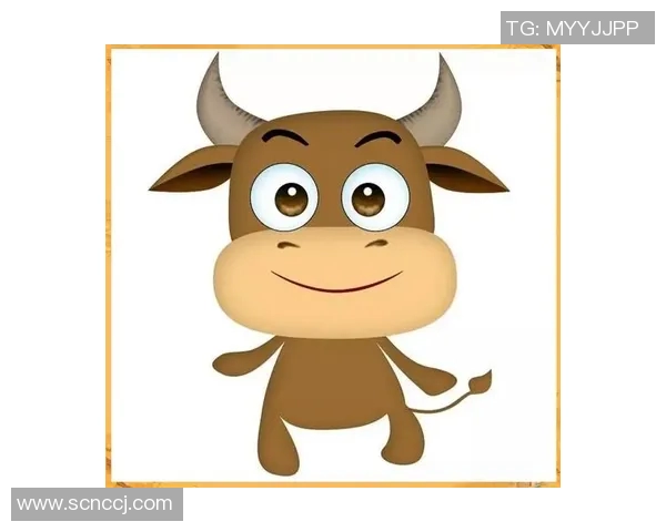 小牛头像的魅力与创意设计探索，打造独特个性化形象的艺术之旅