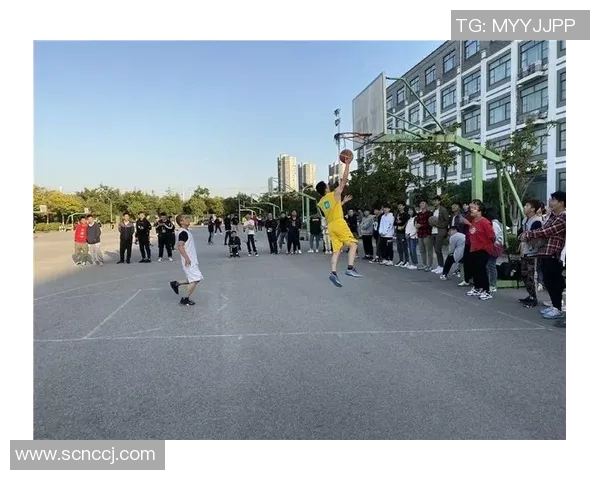 光明球场：见证青春与梦想交汇的热血赛场故事